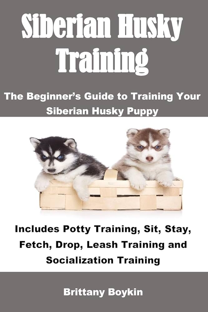 Teaching Huskies Basic Commands: Sit, Stay, And More